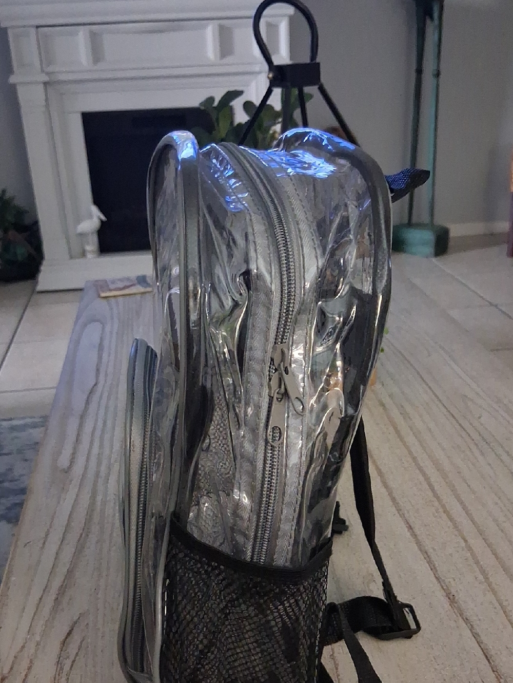 Clear Transparent Backpack with Black Trim - Picture 3 of 9